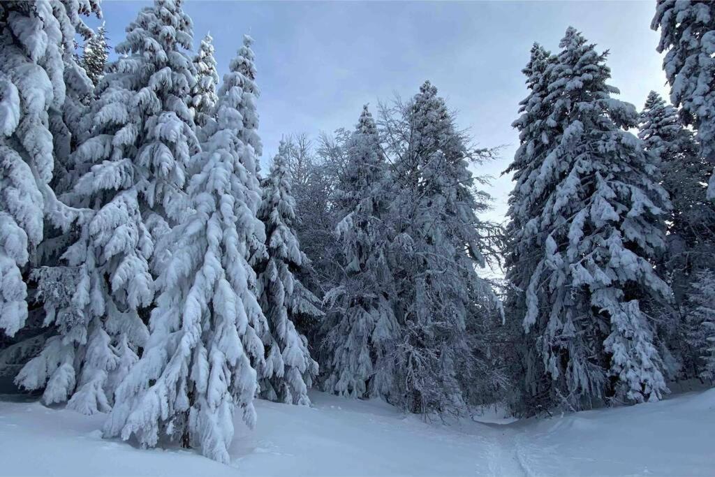 Le Boheme Beau T2 Vue Lac & Montagnes + Garage Анси Экстерьер фото
